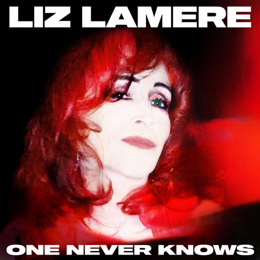 Arcade Sound - Liz Lamere - One Never Knows - LP front cover