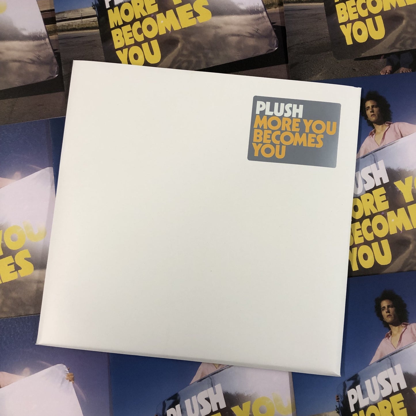 Arcade Sound - Plush - More You Becomes You - LP/CD front cover