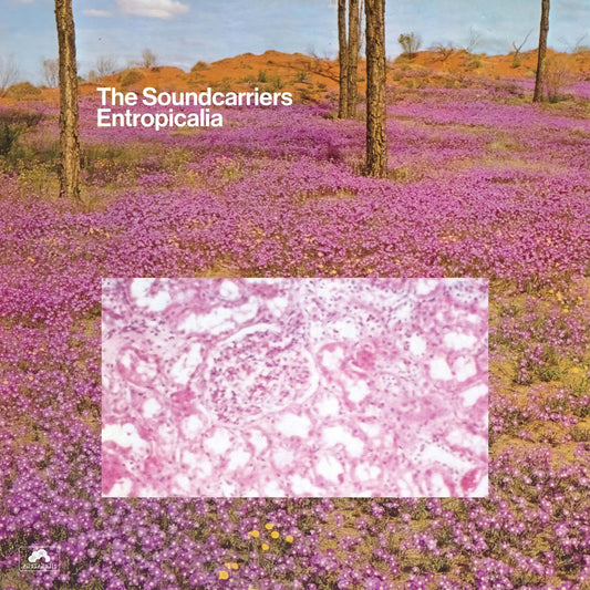 Arcade Sound - The Soundcarriers - Entropicalia - CD front cover