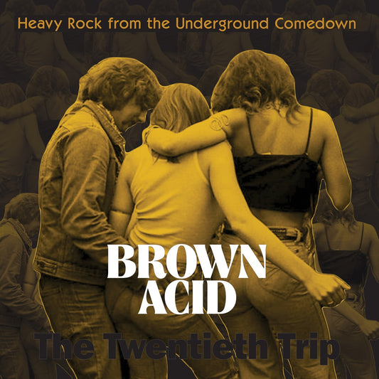 Arcade Sound - Various Artists - Brown Acid: The Twentieth Trip - LP/CD front cover