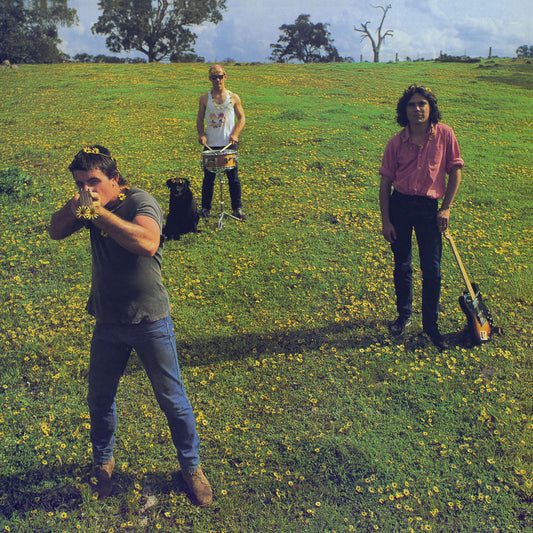 Arcade Sound - Cosmic Psychos - Down On The Farm LP image